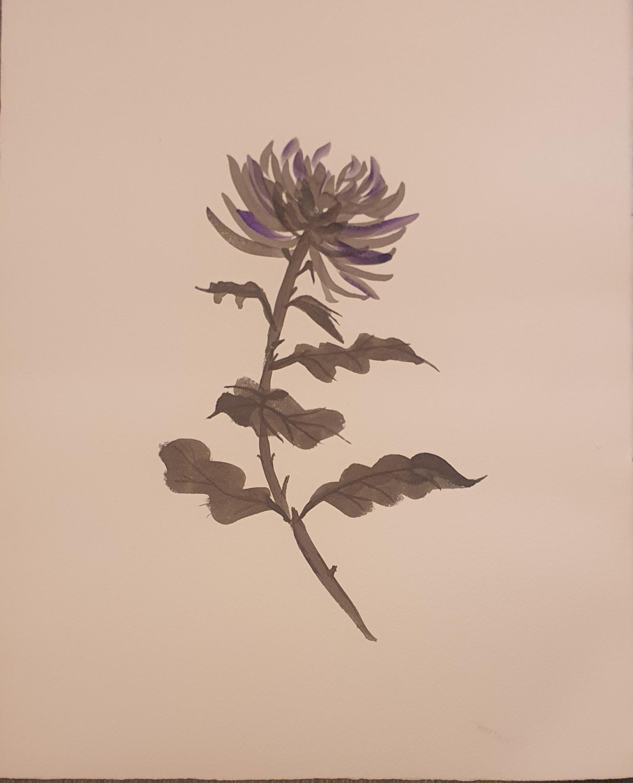 CANCIÓN DE CAOBA DEJAR ATRÁS (OTOÑO)